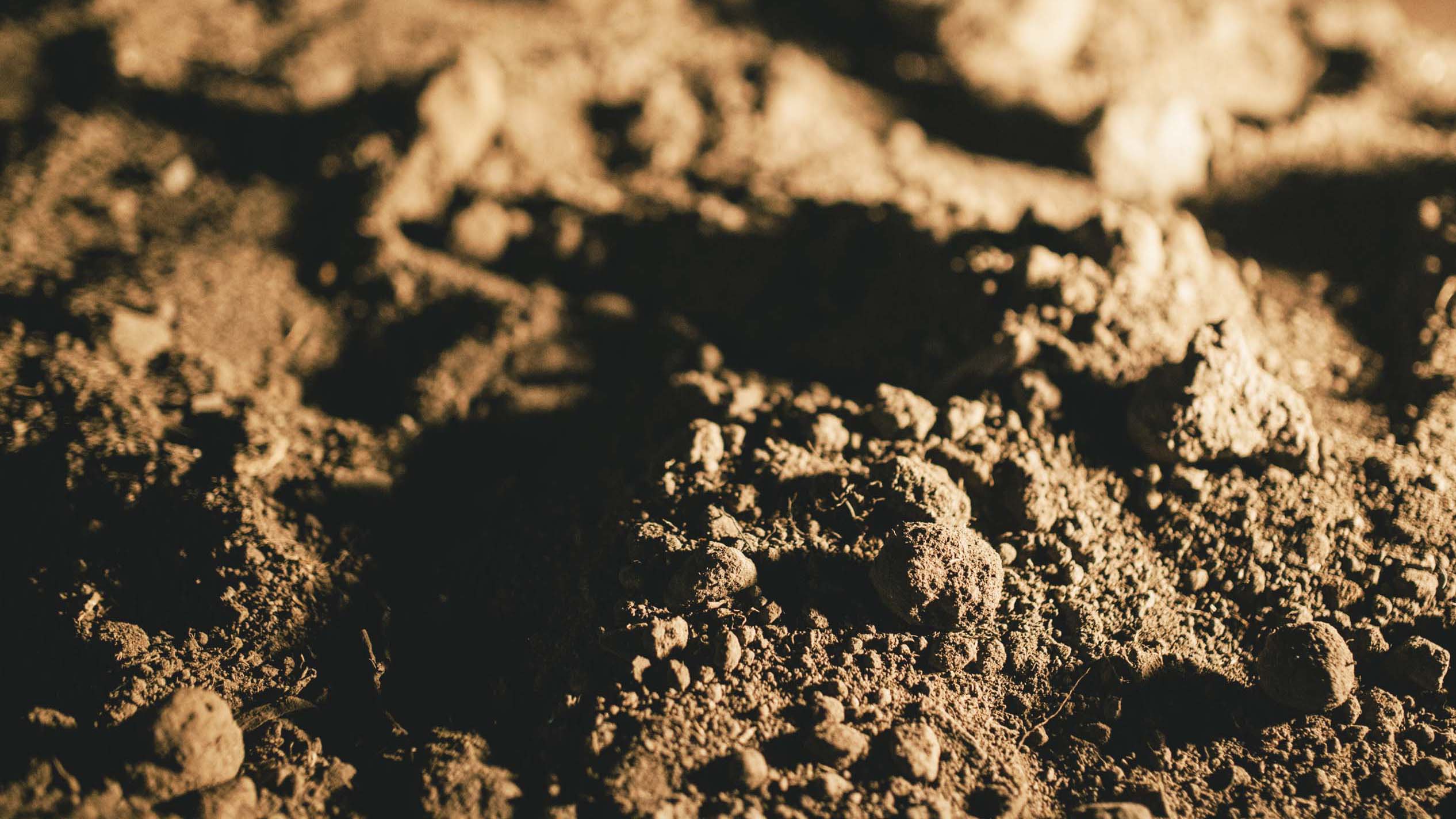 Village documentation